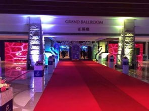 廣州慶典策劃公司 專業(yè)舞龍舞獅禮儀與開業(yè)慶典布置、燈光音響租賃一站式服務(wù)